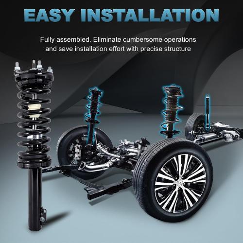 Front Struts & Coil Spring Assembly Shock Absorber 172245 Compatible for Scion xA xB 2004 2005 2006