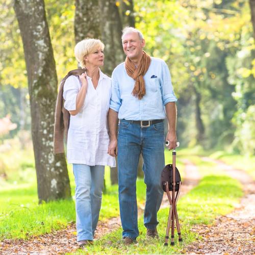 Folding Cane Seat Sturdy Lightweight Adjustable Handle Legs with LED Light Cushion for Elderly Walking Stick 300 lbs Large Plate