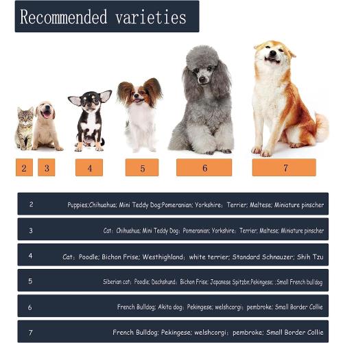 YAODHAOD Dog Shoes for Small Dogs, Puppy Dog Boots & Paw Protector for Winter Snowy Days, Anti-Slip Sole Dog Booties for Indoor Hardwood Floor 4PCS (Blue,Size: 2)