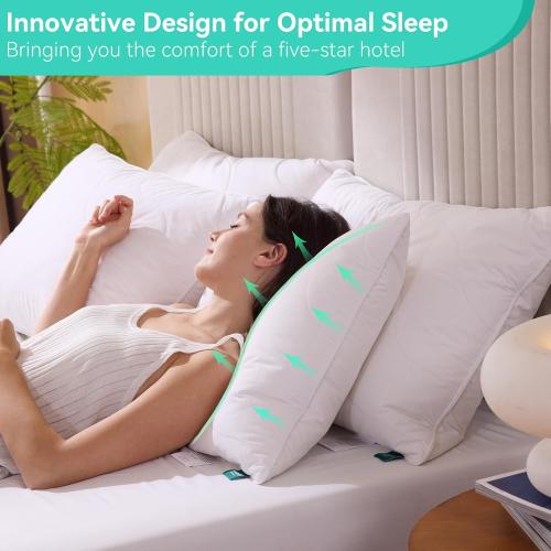 Three Geese White Goose Feather Down Pillows Standard Size Set of 1-100% Cotton, Medium Firm,Soft Support