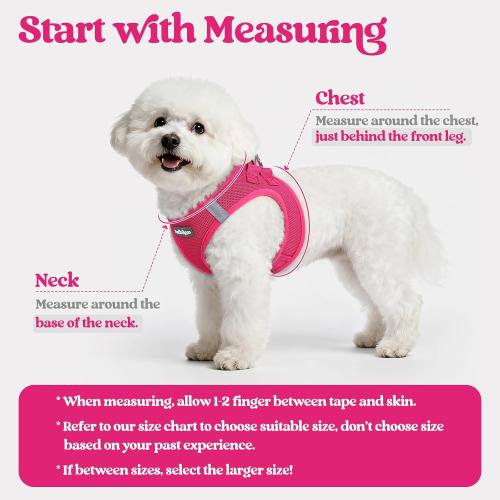Size M rabbitgoo Dog Harness Small Sized and Leash Set, Step in Soft Light Puppy Vest, Breathable Mesh Pet Harness, Reflective for Safe Easy Walking, Orange and Blue