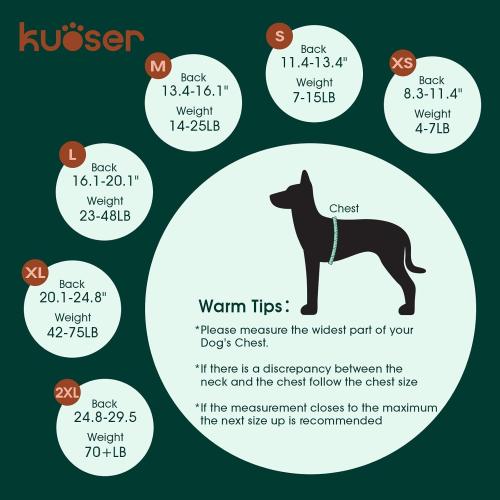 Size Small Kuoser Recovery Suit for Dogs Cats After Surgery, Professional Pet Recovery Shirt Dog Abdominal Wounds Bandages, Substitute E-Collar & Cone,Prevent Licking Dog Onesies Pet Surgery Recovery Suit