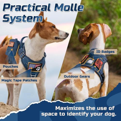 Size S ....rabbitgoo Dog Harness No Pull, Military Dog Harness Medium Sized Dog with Handle & Molle, Easy Control Service Dog Vest Harness Training Walking, Adjustable Reflective Tactical Pet Harness, Blue,