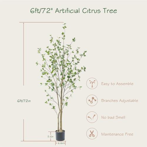 Bellacat 6ft Artificial Minimalist Citrus Tree with Lifelike Leaves, 72in Faux Citrus Tree with Realistic Trunks, Faux Tree Indoor Outdoor for Home Office Living Room Bedroom Porch Decor.