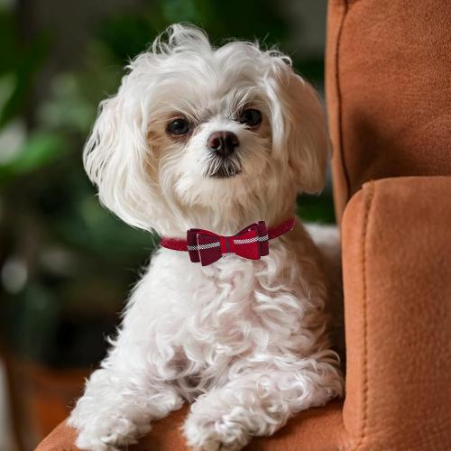 PUPTECK Puppy Collar with Bell XXS Dog Collar Charm Adjustable Bowtie Soft Leather for Cats Kittens Extra Small Dogs 2 Packs