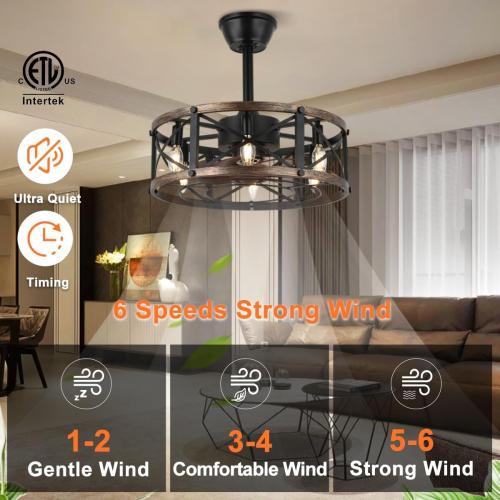 SHLUCE 19 Inch Farmhouse Fandelier with Light, ETL Listed | Remote Controlled, Bladeless Fandelier Design, Quiet Operation, Energy Efficient, Ideal for Bedroom & Kitchen Indoor Use