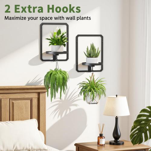 LASZOLA Plant Picture Frame Holder Shelf Wall Window Indoor, 2 Pcs Black