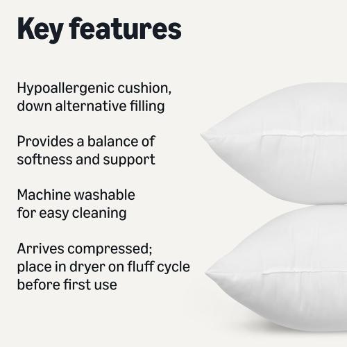 Amazon Basics Square Hypoallergenic Pillow Insert, Down Alternative Fiberfill, Sofa Bed Couch Decorative Stuffer, 18, 2-Pack