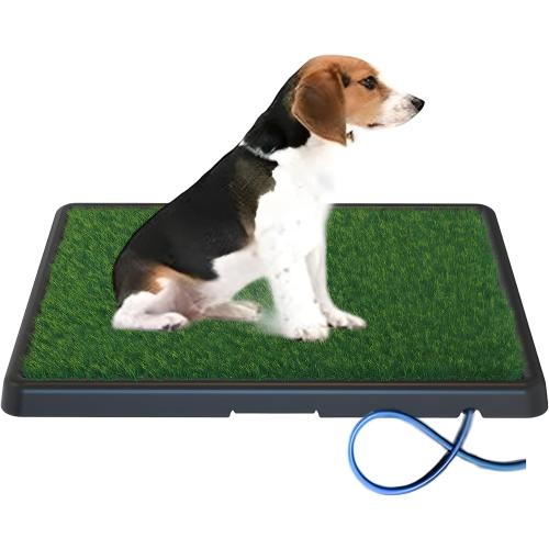 Portable Drainage Pet Urinal,Toilet,Grass Mat.,Potty Grass, Urinal Containing, Toilet Substitute,Puppy Turf,Suitable Size for Most Dogs,Dogs Cushions. 25 * 20 * 2 Inches.