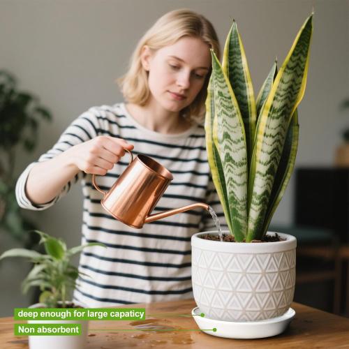 1 Pack Plant Saucer Pot Trays 14 Inch, Deep Plant Saucers Water Catcher Tray for Indoor & Outdoor Planters,Bird Bath Durable Ceramic Plant Tray for Flower Pot （14 inch White）