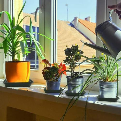 LWALRS Square Plant Saucer 20 22 Inch 2 Pack, Extra Large Plant Saucers, Deep Plant Trays for Pots, Heavy Plastic Water Tray Tor Plants, Planters for Indoors and Outdoors Plants (20 inch Black)