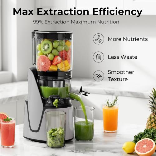 Cold Press Juicer, 5.8 Wide Feed Chute Juice Extractor Machine with 400W, High Juice Yield, Slow Masticating Juicer for Whole Vegetables & Fruits, Silver Gray
