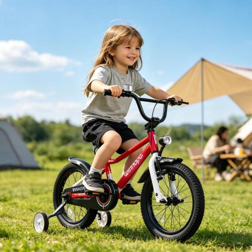 WinHope Kids Bike with Headlight, 12-20 Inch Pedal Bike for 2-12 Boys Girls | Steel Frame with Training Wheels Water Bottle | Dual Brake for Summer Outdoor Riding | Birthday Gift for Toddlers
