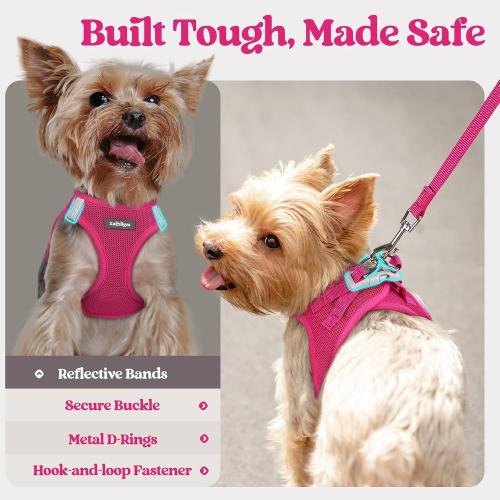 Size M rabbitgoo Dog Harness Small Sized and Leash Set, Step in Soft Light Puppy Vest, Breathable Mesh Pet Harness, Reflective for Safe Easy Walking, Orange and Blue