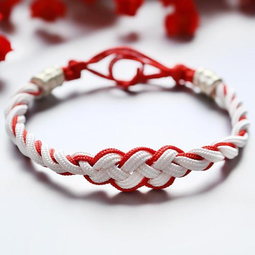 10 Colors 10ft Paracord 550 Combo kit, Paracord Bracelets Making kit - Multifunction Paracord Rope with Instruction for Making Lanyard, Dog Collar, Idea for Gift