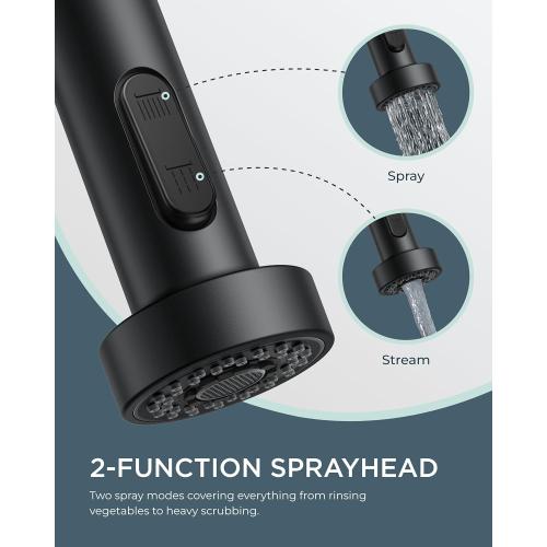 FORIOUS Kitchen Faucets with Pull Down Sprayer, Stainless Steel Commercial Single Handle Classic Spring Pull Out Sink Faucet for Farmhouse Camper Laundry Utility Room, Black Chrome