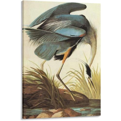 Ornithologist John James Audubon 18 Illustrations - Great Blue Heron by John James Audubon Poster Decorative Painting Canvas Wall Art Living Room Posters Bedroom Painting  (36 x 24 )