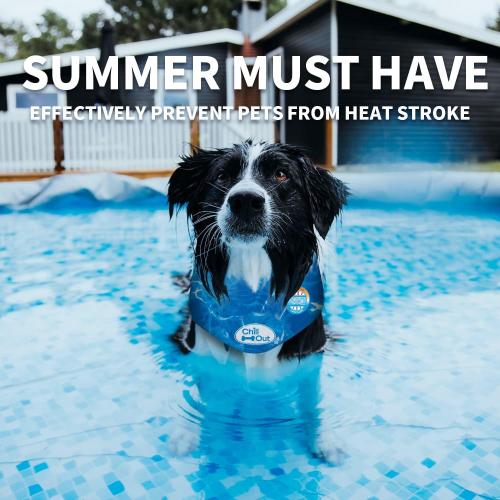 ALL FOR PAWS Dog Cooling Bandana, Cooling Bandanas for Large Dogs, Dog Cooling Neck Wrap, Cooling Scarf for Dogs, Blue Ice Dog Neck Cooler for Summer