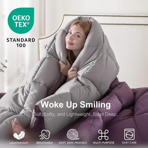 KASENTEX Queen Comforter Set – Reversible Dual Color – Goose Down Alternative – Ultra-Soft, Lightweight, Machine Washable, Maintain Fluffiness, All Season Warmth (Grape Jam/Gull)