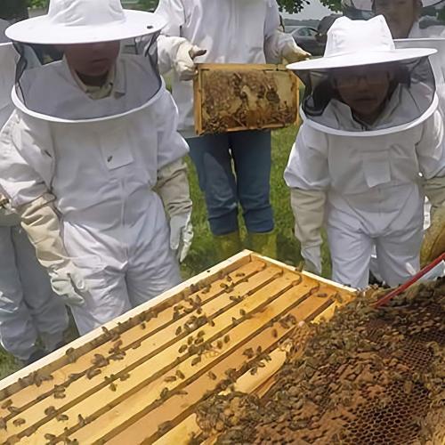 Luwint Kids Full Body Ventilated Beekeeping Suits - Protective Clothing Bee Beekeeper Suit with Gloves (3'11''-4'2'' Height)