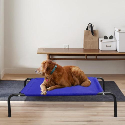 Size XL Color Blue Elevated Dog Bed,Extra Large Raised Pet Cot with Dog Flying Discs,Cooling Waterproof,Portable Indoor & Outdoor for Large Dogs with Washable Breathable Mesh
