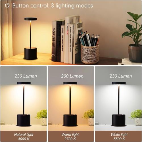 2-Pack Cordless Rechargeable LED Table Lamp (Matte Black)