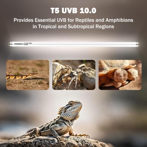 Pack of 2 T5 10.0 UVB Reptile Light Bulb 39W, UVA UVB Light Bulb for Reptiles, 2 Pack Reptile UVB Lamp Tube 33 Inch, for Bearded Dragon, Lizards, Chameleons