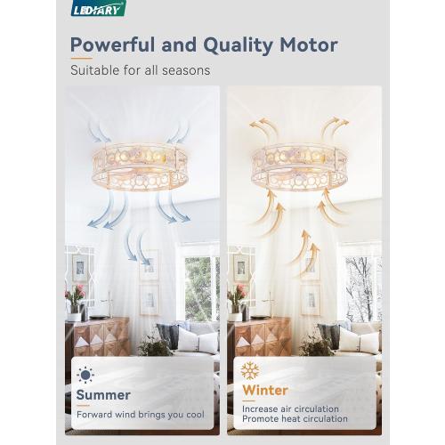 LEDIARY 20in Caged Low Profile Ceiling Fan Light with Remote White Gold