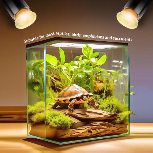 2-Pack 50W UVA Bulbs, Light Turtle Heat Lamp for Reptiles and Amphibian Tanks, Terrariums and Cages, Fit E26 Heat Reptile Lamp,Works with Various Lamp Fixtures,for Lizards, Snakes, Turtles