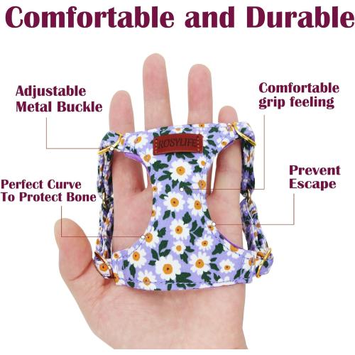 No Pull Dog Harness Adjustable Small Dog Harness and Leash Set, Lightweight and Soft Dog Harness No Choke Escape Proof Pet Harness Vest (Purple Daisy, XX-Small)
