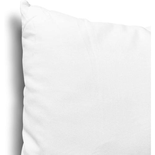 EDOW Throw Pillow Inserts, Set of 2 Lightweight Down Alternative Polyester Pillow, Couch Cushion, Sham Stuffer, Machine Washable. (White, 12x20)