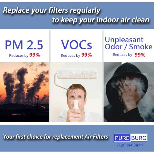 PUREBURG Replacement Filter Compatible with Proscenic A8 Air Purifier, H13 True HEPA Activated Carbon 2-in-1 3-Stage Filtration Air Clean Dust VOCs,2-Pack