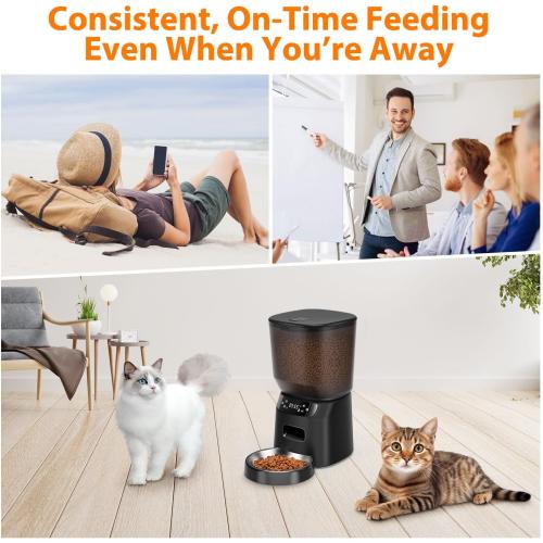 Automatic Cat Feeder, Cat Food Dispenser with Stainless Steel Bowl, Timed Portion Control 20 Portions 6 Meals Per Day, Voice Recorder, Dual Power Supply for Small Dogs