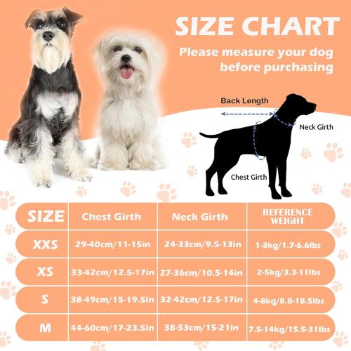 No Pull Dog Harness Adjustable Small Dog Harness and Leash Set, Lightweight and Soft Dog Harness No Choke Escape Proof Pet Harness Vest (Purple Daisy, XX-Small)