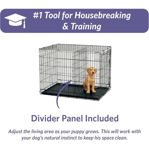 MidWest Homes for Pets 48-Inch iCrate Folding Dog Crate with Divider Panel, Leak-Proof Tray & Secure Latches – Metal Wire Kennel for XL Breeds – Portable, Durable & Easy to Assemble
