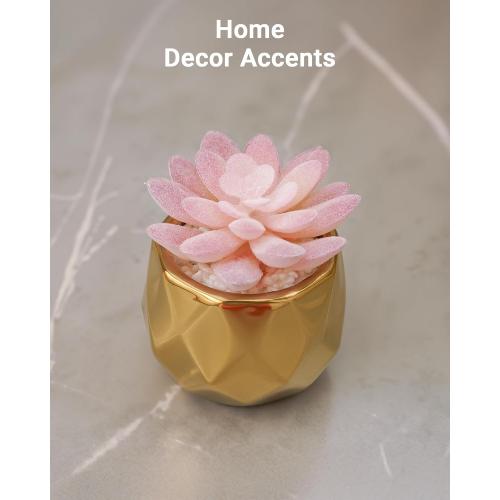 VIVERIE Mini Succulents Plants Artificial in Pots-Pink Succulents with Golden Ceramic, Small Fake Succulents for Home Decor Indoor for Women, White Ceramic Faux Succulents, Gifts for Mom-1 Pack