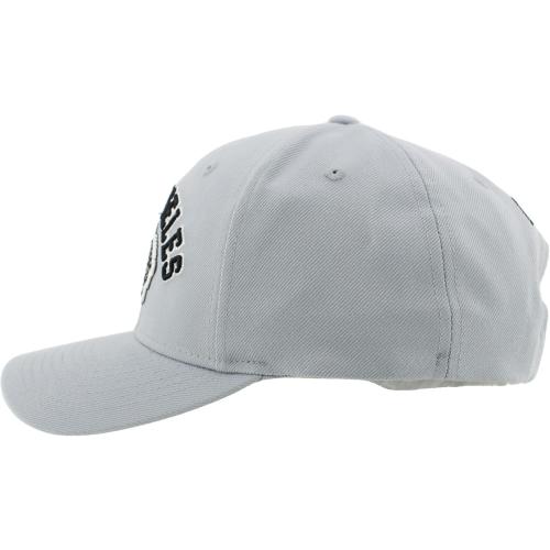 ZHATS NHL Officially Licensed Hat Competitor Team Color
