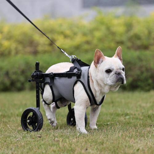 Dog Wheelchair for Back Legs, Light Weight Dog&Cat&Pets Wheelchair Cart with Disabled Hind Legs Walking, Adjustable Doggy Wheelchair Cart with Wheels for Back Legs