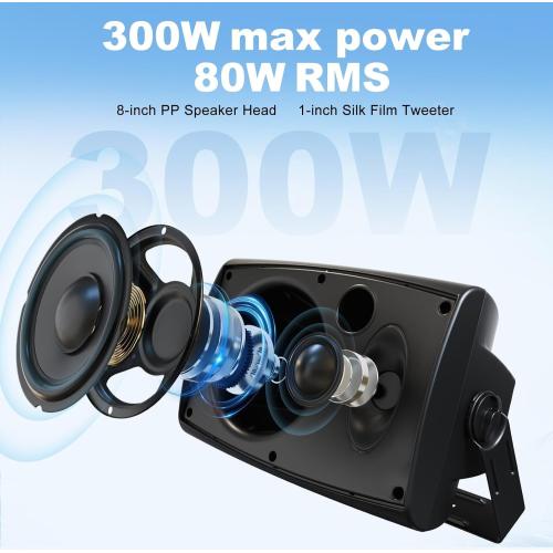 Herdio 8 Inch 600W Outdoor Speakers Passive Waterproof Wired with Powerful Bass, Wall Mount Durable Loud Sound System | Ideal for Large Spaces: Commercial Areas, Spacious Backyards, Auditorium (Black)