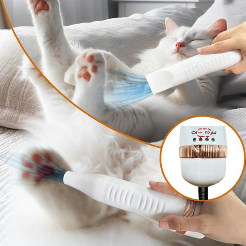 300W Quiet Pet Blow Dryer - Pet Hair Dryer for Small & Medium Dogs and Cats with Removal Comb & Silicone Bath Massage Brush for Home Grooming -Mist/Spray/Steam Brush for Cat & Dog