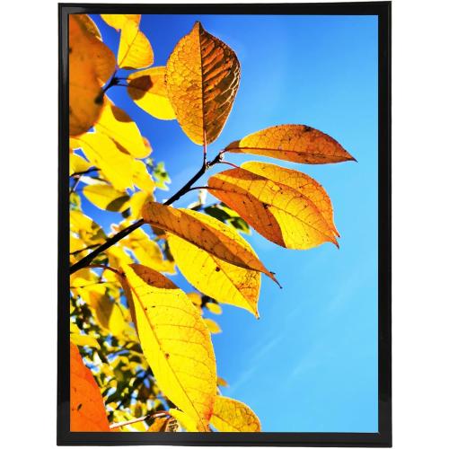 Size  24x36 Poster Frame, Studio Gallery 24x36 Picture Frames, For Wall Collage Photo Frame,Black