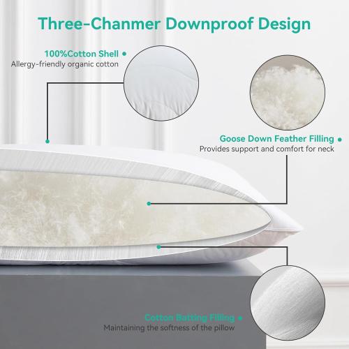 Three Geese White Goose Feather Down Pillows Standard Size Set of 1-100% Cotton, Medium Firm,Soft Support