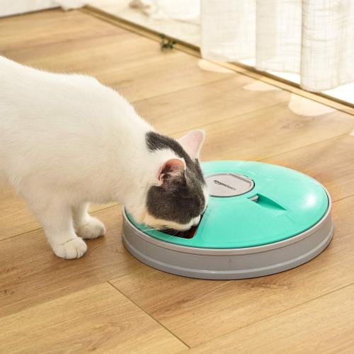 Amazon Basics Automatic Pet Feeder, Electronic Timed Dog and Cat Food Dispenser, 6 Portions, Plastic, Teal, 12 X 12 X 2.3