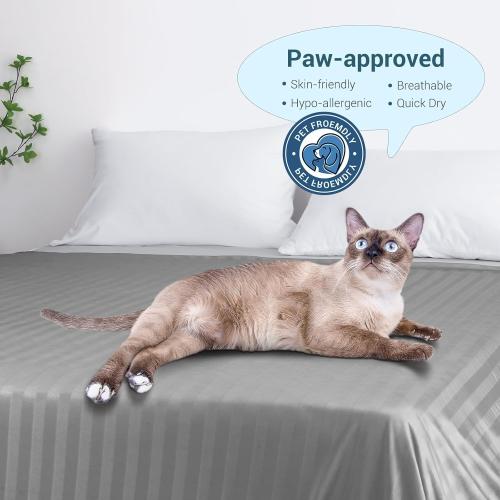 Elegear Revolutionary Cooling Blanket Twin, Absorbs Heat to Keep Body Cool for Night Sweats, Double Sided Arc-Chill3.0 Cooling Fiber Q-Max>0.5, Lightweight Summer Cold Blankets for Sleeping, 59“ x 79”