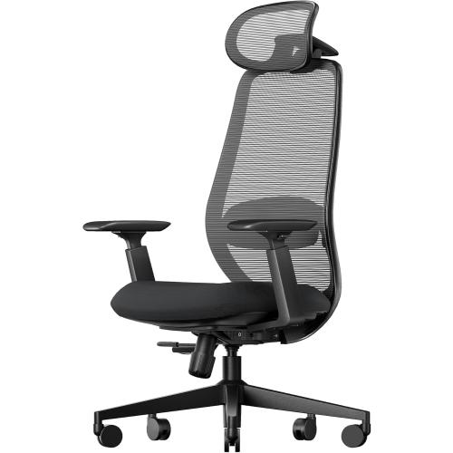 ProtoArc Ergonomic Office Chair – EC200 High-Back Mesh Computer Chair with Lumbar Support, 3D Adjustable Headrest & Sliding Seat for 8  Hour Comfort, Big & Tall Home Office Desk Chairs - Black