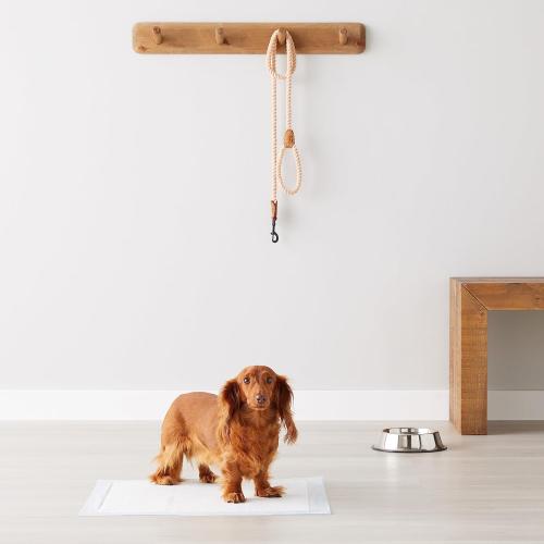 Amazon Basics Dog and Puppy Pee Pads, 5-Layer Leak-Proof Super Absorbent, Quick-Dry Surface, Potty Training, Regular (22x22), 100 Count, Blue & White