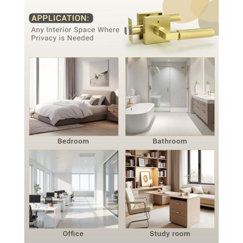 KNOBWELL 1 Pack Gold Door Handle Square Doorknob with Lever Interior Door Lever for Bed and Bath (Push Button)