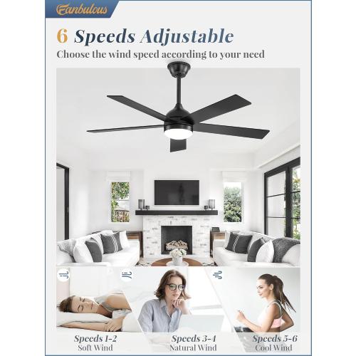 Fanbulous 48 Inch Ceiling Fan with Light and Remote, Black