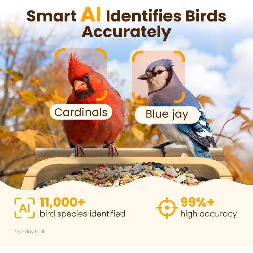 Bird Feeder with Camera, Smart Bamboo Bird Feeder, 2.5K UHD AI Identification, Real-time Videos & Pictures, Wireless Solar Powered Outdoor, Ideal for Garden Birding, Premium Present