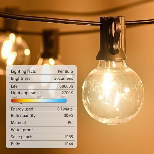 65FT LED Globe String Lights,Waterproof Hanging String Light with 30 Warm White Shatterproof G40 Bulbs(3 Spare), for Indoor/Outdoor Commercial Decor (65FT)